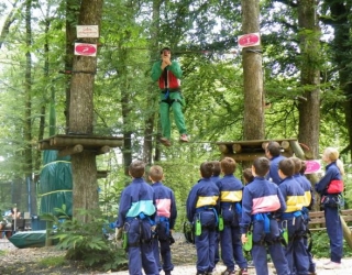  Profesionales al ataque 